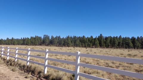1657 S Minstrel Ln, Williams, AZ 86046 photo 14