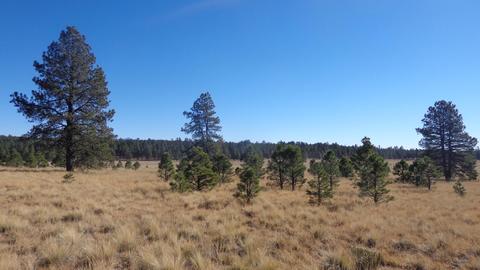 1657 S Minstrel Ln, Williams, AZ 86046 photo 13