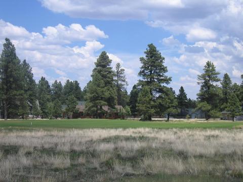 2802 W Burning Tree Dr, Williams, AZ 86046 photo 1