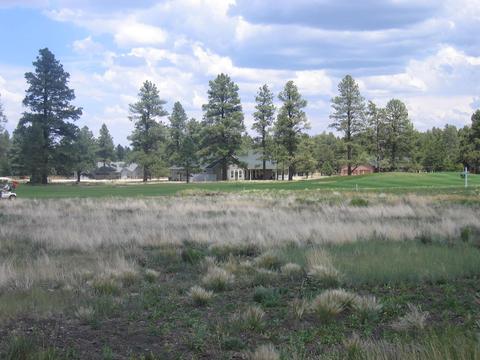 2802 W Burning Tree Dr, Williams, AZ 86046 photo 3