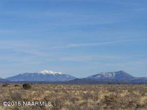 2333 S Picacho Way, Valle, AZ 86046 photo 1