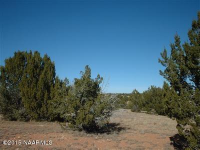 12907 S Pipecreek Loop E, Williams, AZ 86046 photo 4