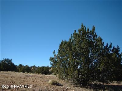 12907 S Pipecreek Loop E, Williams, AZ 86046 photo 3