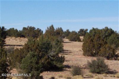 12907 S Pipecreek Loop E, Williams, AZ 86046 photo 1
