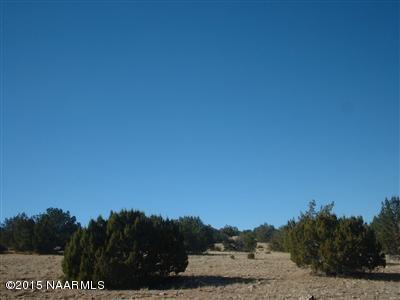 12907 S Pipecreek Loop E, Williams, AZ 86046 photo 8