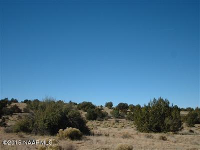 12907 S Pipecreek Loop E, Williams, AZ 86046 photo 5