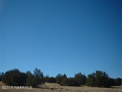 12907 S Pipecreek Loop E, Williams, AZ 86046 photo 9