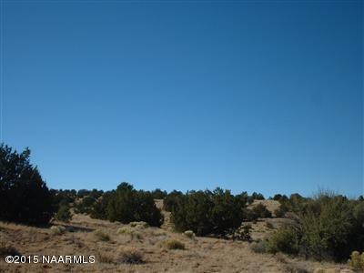 12907 S Pipecreek Loop E, Williams, AZ 86046 photo 6