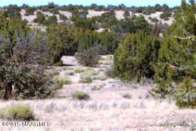12907 S Pipecreek Loop E, Williams, AZ 86046 photo 2