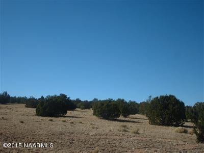 12907 S Pipecreek Loop E, Williams, AZ 86046 photo 7