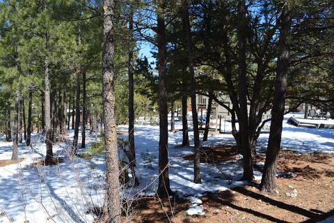 4224 E Broken Rock Loop, Flagstaff, AZ 86004 photo 2