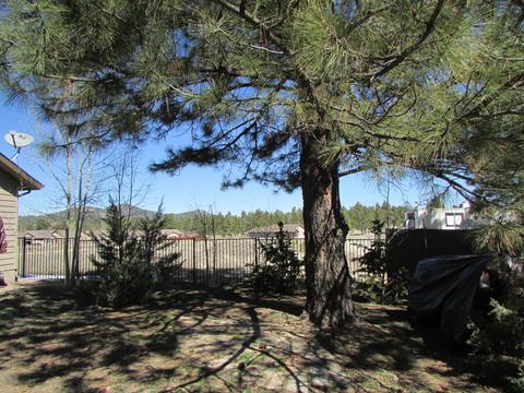 656 Brookline Loop, Williams, AZ 86046 photo 21