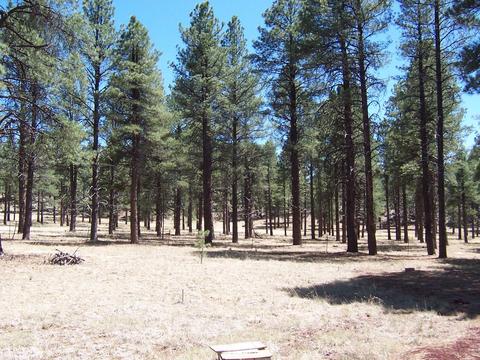 7210 E Long Bow Dr, Williams, AZ 86046 photo 2