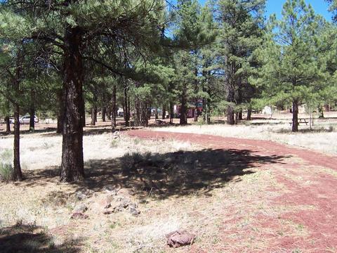 7210 E Long Bow Dr, Williams, AZ 86046 photo 5