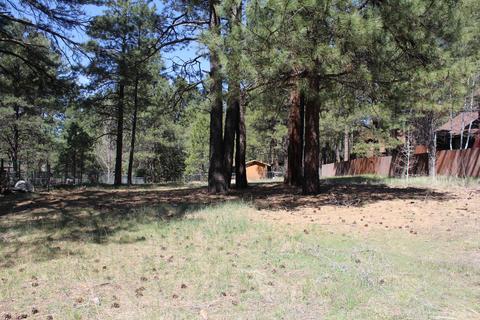 4066 Canyon Loop, Flagstaff, AZ 86005 photo 2