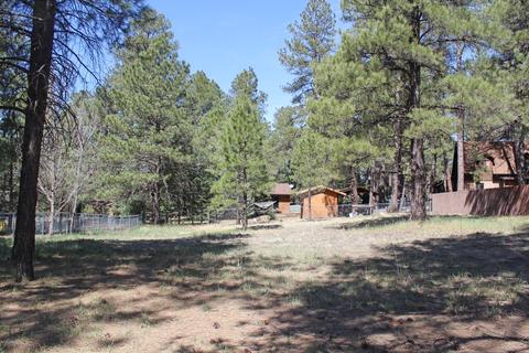 4066 Canyon Loop, Flagstaff, AZ 86005 photo 4