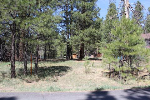 4066 Canyon Loop, Flagstaff, AZ 86005 photo 3