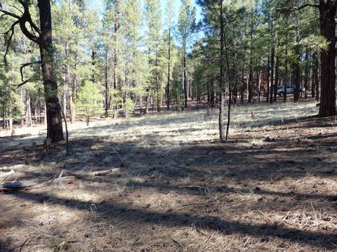 7428 E Long Bow Dr, Williams, AZ 86046 photo 1