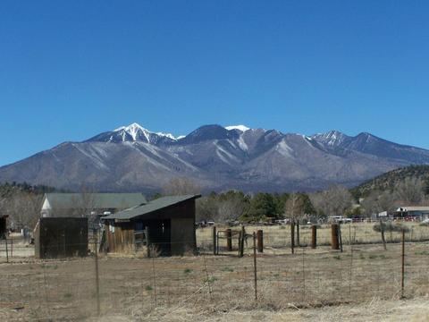7845 E Gemini Dr, Flagstaff, AZ 86004 photo 3
