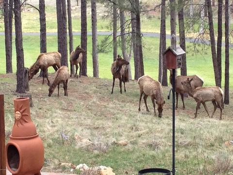 5400 E Mount Pleasant Dr, Flagstaff, AZ 86004 photo 21