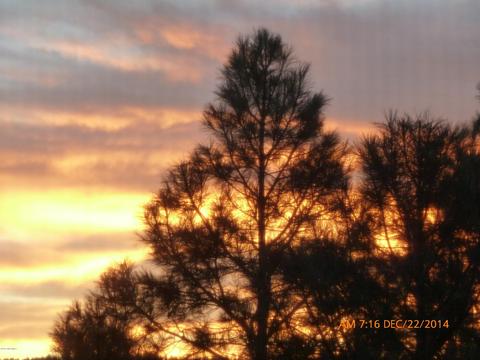 3092 Mesa Trl, Flagstaff, AZ 86005 photo 14