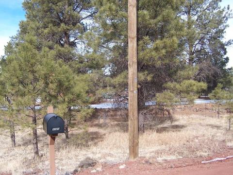 3583 E Pine Cone Dr, Williams, AZ 86046 photo 13