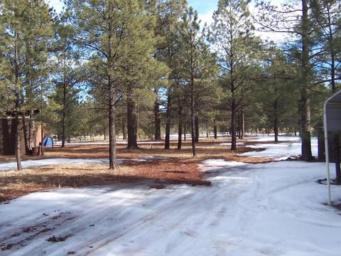 3583 E Pine Cone Dr, Williams, AZ 86046 photo 4