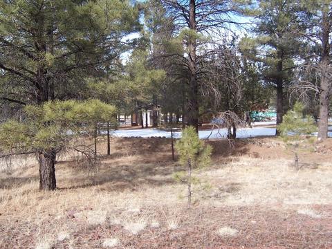 3583 E Pine Cone Dr, Williams, AZ 86046 photo 14