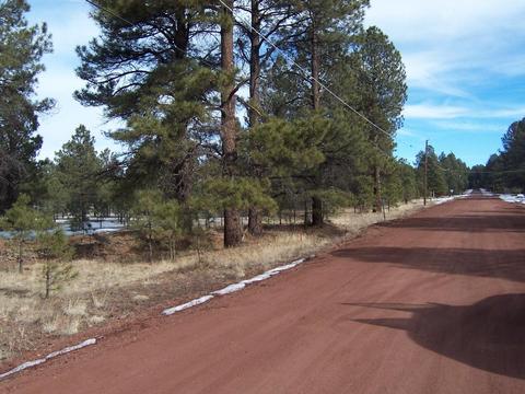3583 E Pine Cone Dr, Williams, AZ 86046 photo 12
