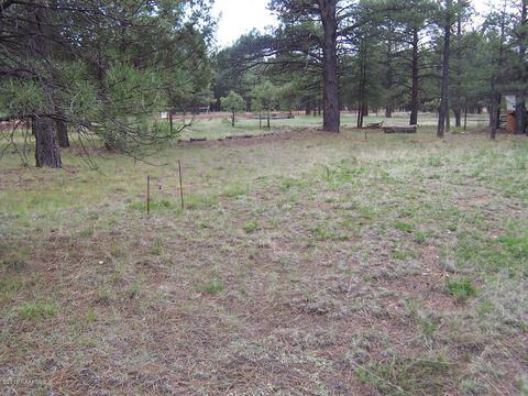 3583 E Pine Cone Dr, Williams, AZ 86046 photo 21