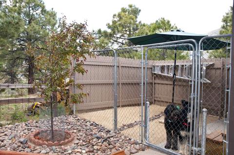 4304 E Broken Rock Loop, Flagstaff, AZ 86004 photo 28