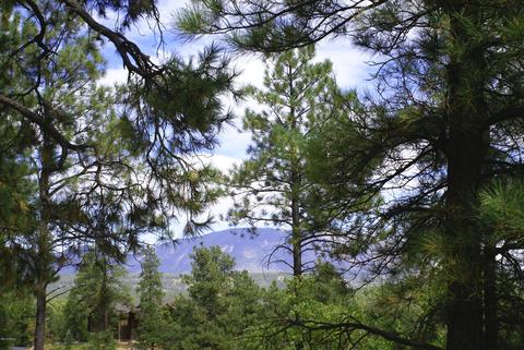 4755 S Snaffle Bit, Flagstaff, AZ 86005 photo 5