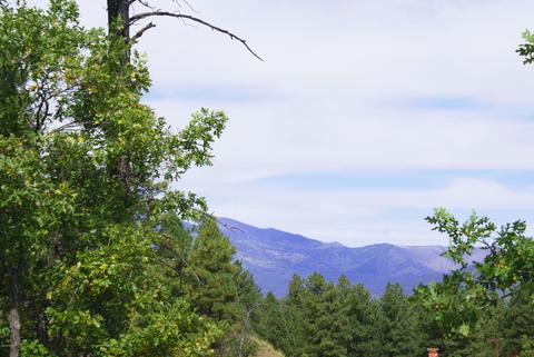 4755 S Snaffle Bit, Flagstaff, AZ 86005 photo 4