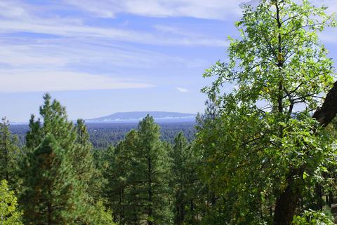 4755 S Snaffle Bit, Flagstaff, AZ 86005 photo 3
