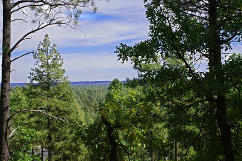 4705 S Snaffle Bit, Flagstaff, AZ 86005 photo 2