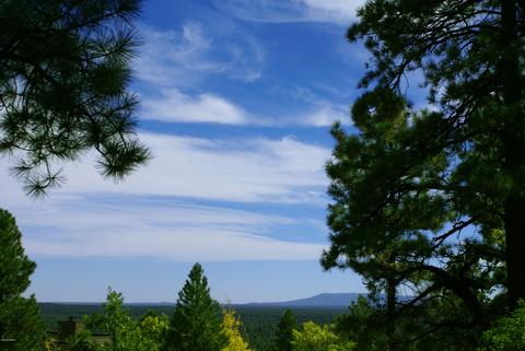 4705 S Snaffle Bit, Flagstaff, AZ 86005 photo 3