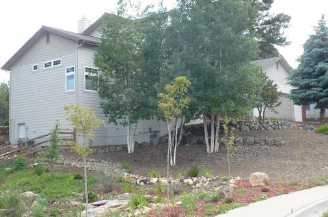 6197 E Olson, Flagstaff, AZ 86004 photo 3