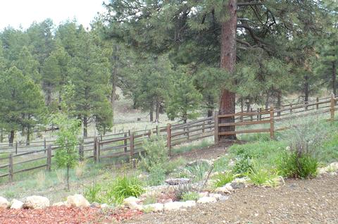 6197 E Olson, Flagstaff, AZ 86004 photo 6