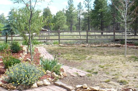 6197 E Olson, Flagstaff, AZ 86004 photo 61