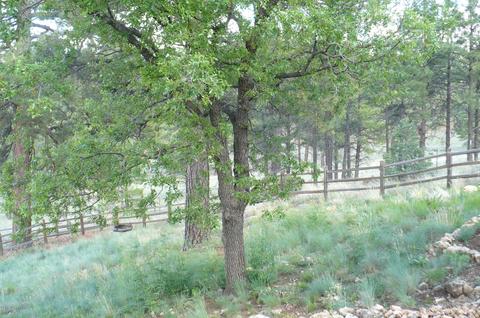 6197 E Olson, Flagstaff, AZ 86004 photo 67