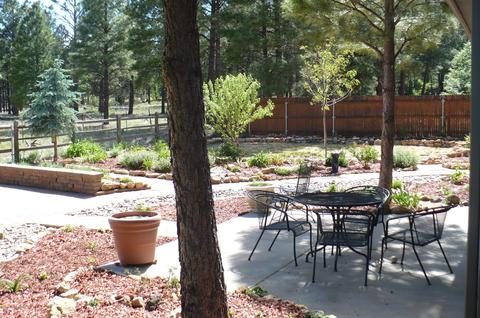 6197 E Olson, Flagstaff, AZ 86004 photo 60
