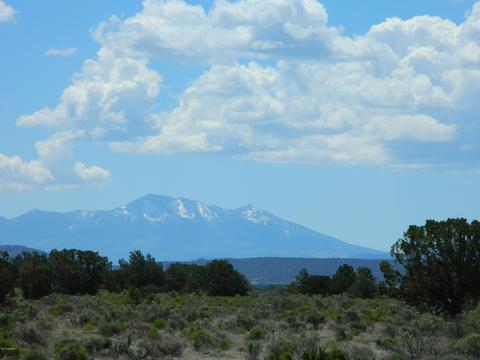 4529 E Ashing Rd, Valle, AZ 86046 photo 3