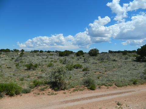 4529 E Ashing Rd, Valle, AZ 86046 photo 1