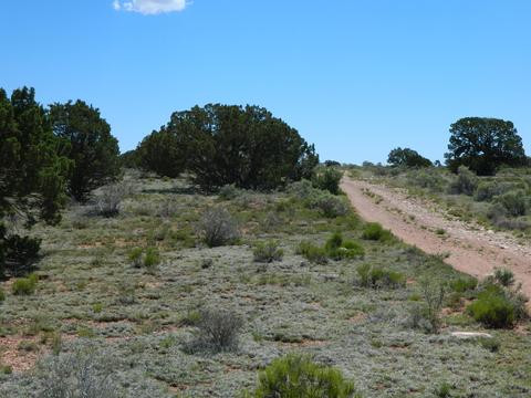 4529 E Ashing Rd, Valle, AZ 86046 photo 5