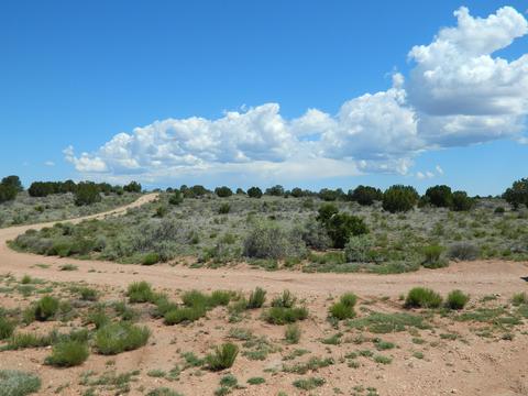 4529 E Ashing Rd, Valle, AZ 86046 photo 2