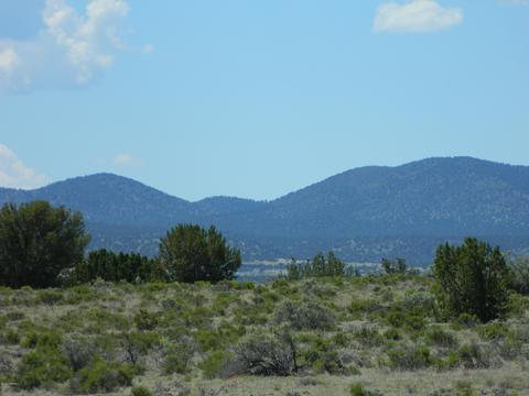 4529 E Ashing Rd, Valle, AZ 86046 photo 7