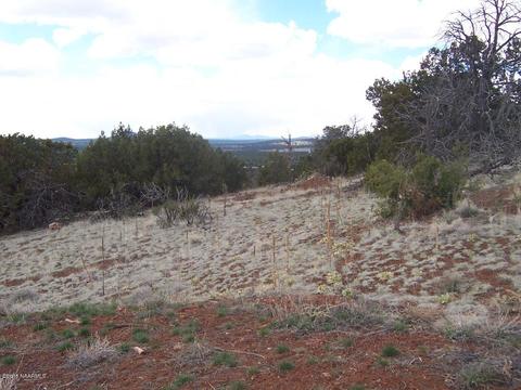 1825 E Sagebrush Rd, Williams, AZ 86046 photo 4