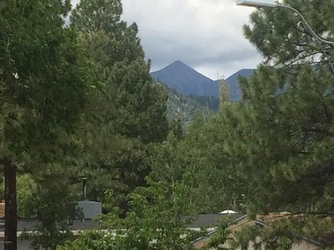 1002 E Hillcrest Dr, Flagstaff, AZ 86004 photo 5