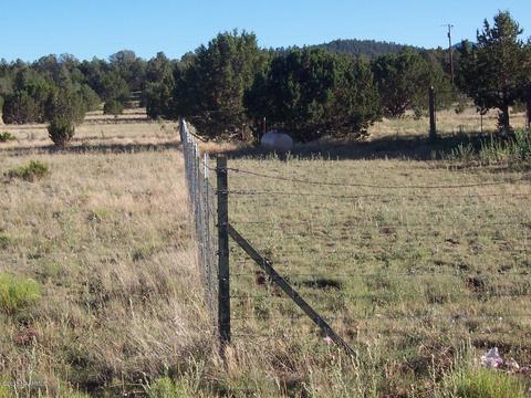 1576 E Prospect Ln, Williams, AZ 86046 photo 4