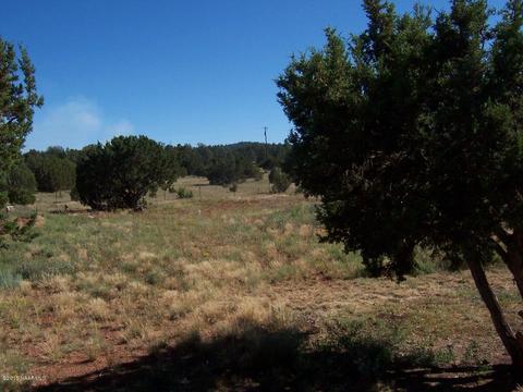 1576 E Prospect Ln, Williams, AZ 86046 photo 17